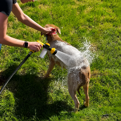 Doggopaw Watergun